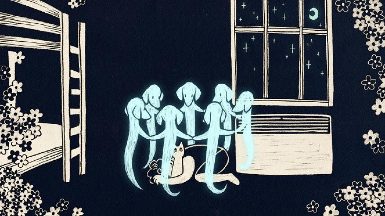 detail-filmu