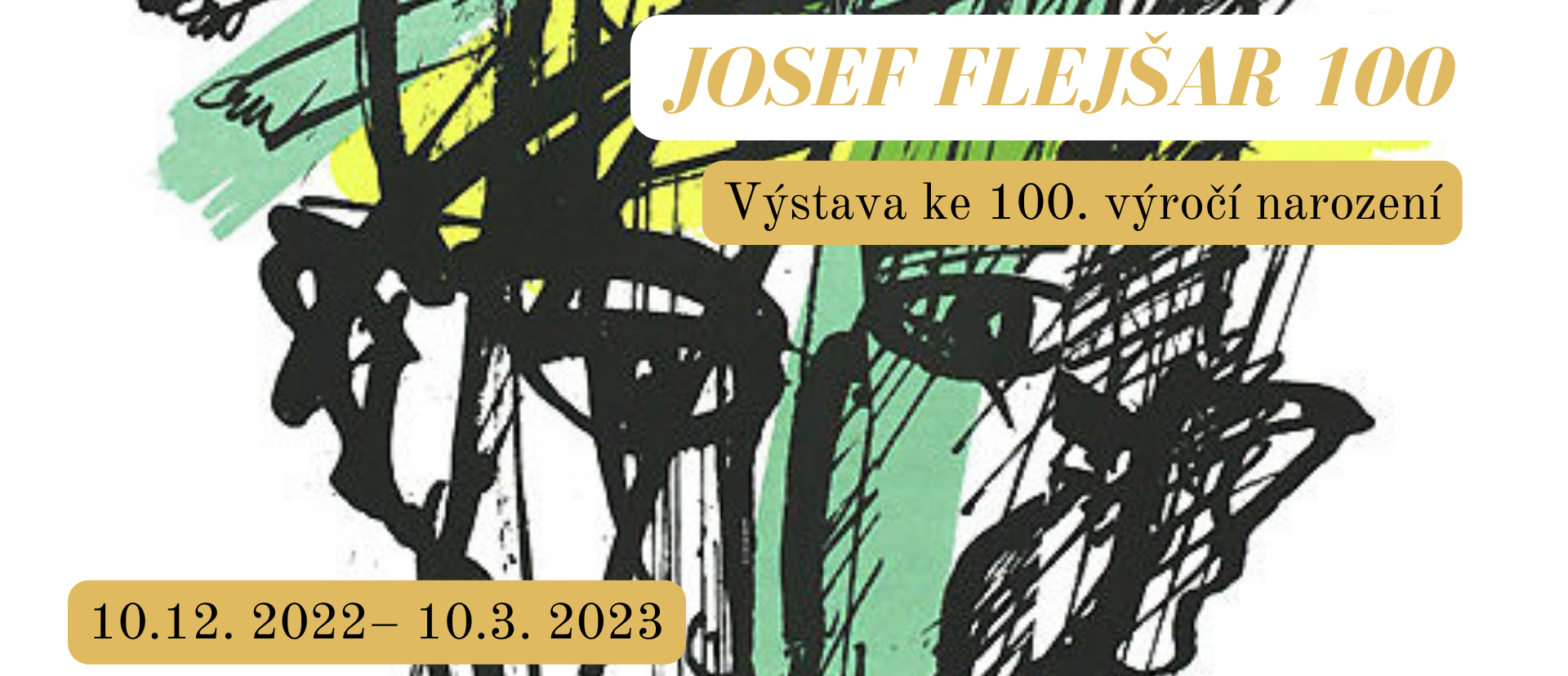 JOSEF FLEJŠAR 100