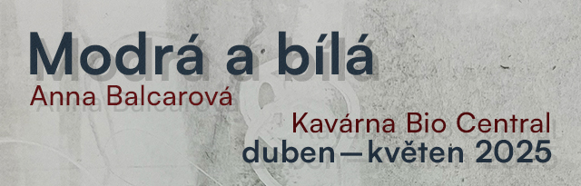 Anna Balcarová | Modrá a bílá
